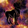 symb space bélier